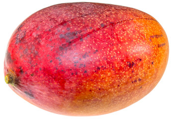 Fototapeta premium mangue sur fond blanc 
