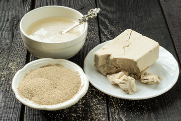 Fresh and dry yeast, yeast starter