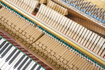 Action mechanics close up inside of an upright piano. Pattern of keys, shanks, hammers and strings.