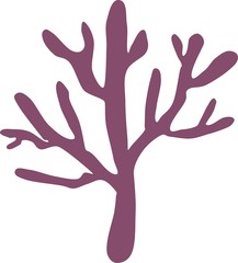 silhouette of coral