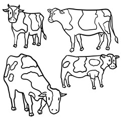 vector set of cow