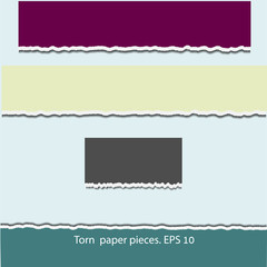 Torn paper pieces