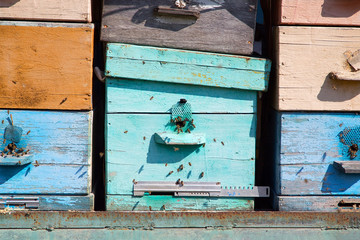 Улей и пчелы.
Красочные улей и летающие пчелы 
