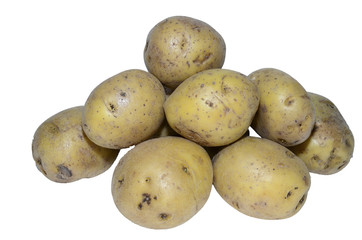 potato isolated