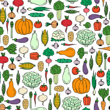 Vector seamless pattern with hand drawn colored vegetables