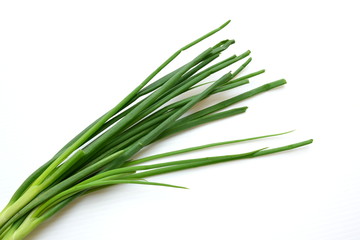 Fototapeta premium green onion