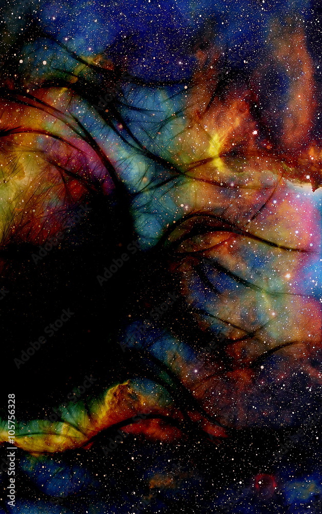Poster Cosmos and fractal effect, computer collage. Elements of this image furnished by NASA.