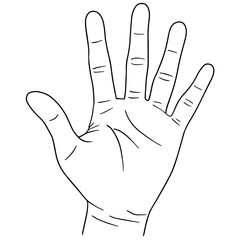 vector set of cartoon hand