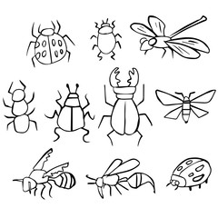 vector set of insect
