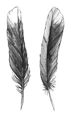 Watercolor black and white monochrome feather set isolated