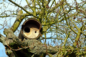 Wooden birdhouse in a tree