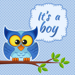 Baby boy shower card with owl on branch. It's a boy
