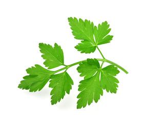 parsley