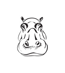 head of a hippo