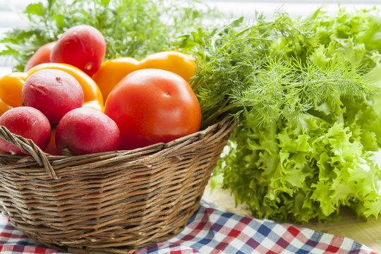 Fresh vegetables covered with water drops in basket. Organic Tomatoes pepper radishes dill parsley and vibrant green lettuce from the market.