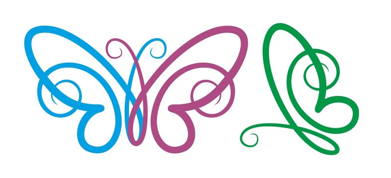 Logo of color butterfly.