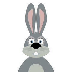 cartoon rabbit on white background