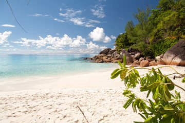 Anse Georgette, Praslin, Seychellen