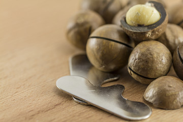 Fototapeta na wymiar Macadamia nuts