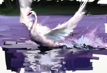 Painting. Swan  - 105766770