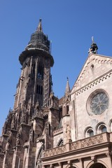 Fototapeta na wymiar Detailaufnahme vom Freiburger Münster mit eingerüstetem Glockenturm
