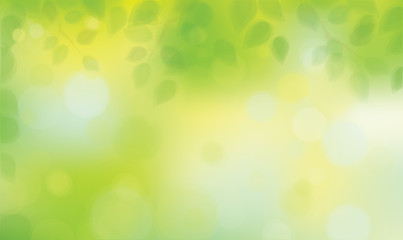 Naklejka premium Vector green leaves on sunshine background.