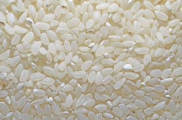 white rice seeds texture