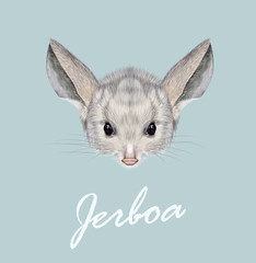 Vector illustrated portrait of Jerboa.