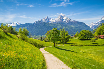 Idyllic landscape in the Alps with meadows and flowers