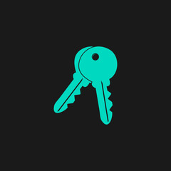 Keys sign icon. Unlock tool button