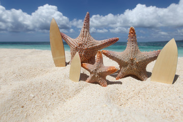 Fototapeta na wymiar Three starfish surfers on beach