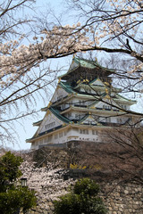 大阪城と桜