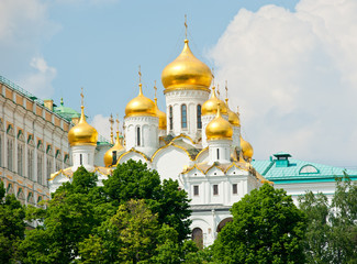 Fototapeta na wymiar Domes of the Churches of the Moscow Kremlin. Russia