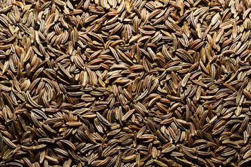 caraway seeds texture
