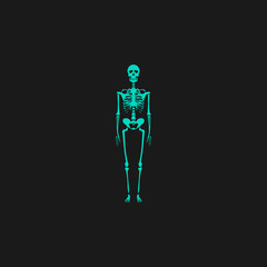 skeletons - human bones
