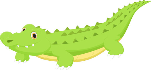 Crocodile cartoon
