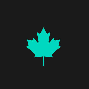 maple leaf flat icon