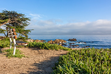Central California Coastal Landscape