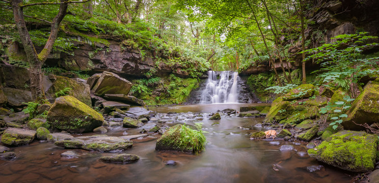 Goit Stock Falls on Harden Beck,