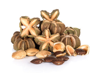 sacha inchi peanut seed on white background