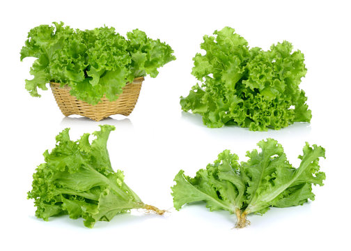 set of fresh green lettuce in the basket isolated on a white bac