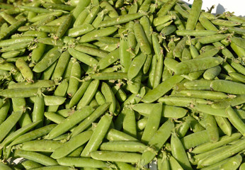 Pea (background)