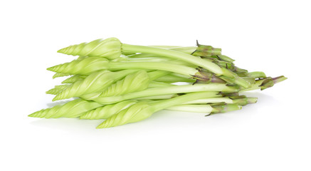 Moonflower (Ipomoea alba) on white background