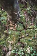 Stone wall