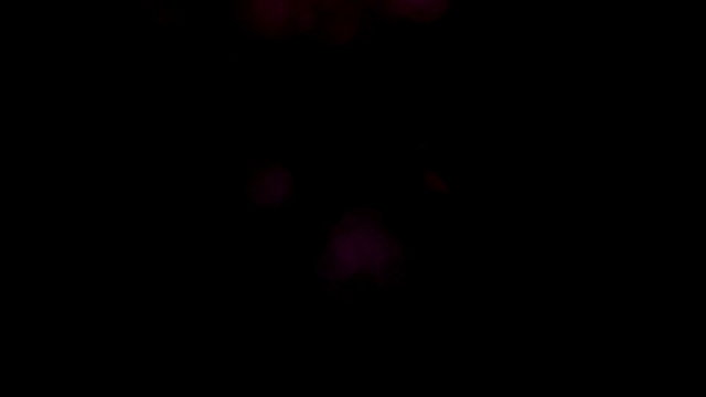 light abstract, magical glow, motion  /   light abstract, magical glow, motion, fantastic background  blur   bokeh HD 1920