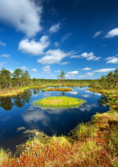 Viru bogs at Lahemaa national park