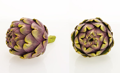 Fototapeta premium Two fresh purple artichokes, isolated on white background.