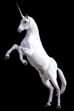 Rearing unicorn