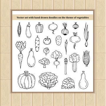 Vector set with hand drawn isolated doodles on the theme of vegetables, food