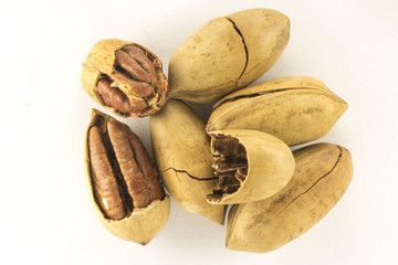 Pecans
